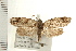  ( - IM08-0910)  @13 [ ] CreativeCommons - Attribution (2008) Unspecified Centre for Biodiversity Genomics