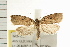 ( - IM08-1023)  @13 [ ] CreativeCommons - Attribution (2008) Unspecified Centre for Biodiversity Genomics