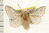  ( - IM08-1518)  @13 [ ] CreativeCommons - Attribution (2008) Unspecified Centre for Biodiversity Genomics