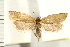  ( - IM08-1527)  @14 [ ] CreativeCommons - Attribution (2008) Unspecified Centre for Biodiversity Genomics