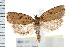  ( - IM08-1071)  @13 [ ] CreativeCommons - Attribution (2008) Unspecified Centre for Biodiversity Genomics