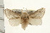  ( - IM08-1542)  @13 [ ] CreativeCommons - Attribution (2008) Unspecified Centre for Biodiversity Genomics