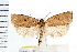  ( - IM08-1109)  @14 [ ] CreativeCommons - Attribution (2008) Unspecified Centre for Biodiversity Genomics
