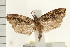  ( - IM08-1599)  @14 [ ] CreativeCommons - Attribution (2008) Unspecified Centre for Biodiversity Genomics