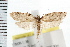  ( - IM08-1136)  @13 [ ] CreativeCommons - Attribution (2008) Unspecified Centre for Biodiversity Genomics