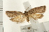  ( - IM08-1669)  @14 [ ] CreativeCommons - Attribution (2008) Unspecified Centre for Biodiversity Genomics