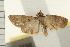  ( - IM08-1688)  @14 [ ] CreativeCommons - Attribution (2008) Unspecified Centre for Biodiversity Genomics
