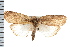  ( - IM08-1188)  @14 [ ] CreativeCommons - Attribution (2008) Unspecified Centre for Biodiversity Genomics