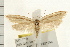  ( - IM08-1730)  @13 [ ] CreativeCommons - Attribution (2008) Unspecified Centre for Biodiversity Genomics