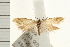  ( - IM08-1825)  @13 [ ] CreativeCommons - Attribution (2008) Unspecified Centre for Biodiversity Genomics