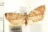  ( - IM08-2008)  @14 [ ] CreativeCommons - Attribution (2008) Unspecified Centre for Biodiversity Genomics