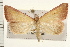  ( - IM08-2266)  @14 [ ] CreativeCommons - Attribution (2008) Unspecified Centre for Biodiversity Genomics