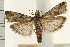  ( - IM08-2351)  @14 [ ] CreativeCommons - Attribution (2008) Unspecified Centre for Biodiversity Genomics