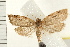  ( - IM08-2412)  @14 [ ] CreativeCommons - Attribution (2008) Unspecified Centre for Biodiversity Genomics