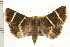  ( - IM08-2416)  @13 [ ] CreativeCommons - Attribution (2008) Unspecified Centre for Biodiversity Genomics