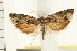  ( - IM08-2432)  @14 [ ] CreativeCommons - Attribution (2008) Unspecified Centre for Biodiversity Genomics