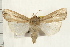  ( - IM08-2486)  @14 [ ] CreativeCommons - Attribution (2008) Unspecified Centre for Biodiversity Genomics