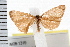  ( - IM08-1319)  @13 [ ] CreativeCommons - Attribution (2008) Unspecified Centre for Biodiversity Genomics