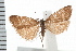  ( - IM08-1359)  @14 [ ] CreativeCommons - Attribution (2008) Unspecified Centre for Biodiversity Genomics