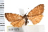  ( - IM08-1378)  @13 [ ] CreativeCommons - Attribution (2008) Unspecified Centre for Biodiversity Genomics