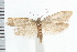  ( - IM08-1501)  @13 [ ] CreativeCommons - Attribution (2008) Unspecified Centre for Biodiversity Genomics