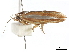  ( - BIOUG44857-A03)  @11 [ ] CreativeCommons - Attribution (2018) CBG Photography Group Centre for Biodiversity Genomics