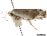  ( - BIOUG44857-A10)  @11 [ ] CreativeCommons - Attribution (2018) CBG Photography Group Centre for Biodiversity Genomics