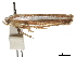  ( - BIOUG44857-B02)  @11 [ ] CreativeCommons - Attribution (2018) CBG Photography Group Centre for Biodiversity Genomics