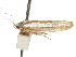  ( - BIOUG44857-B06)  @11 [ ] CreativeCommons - Attribution (2018) CBG Photography Group Centre for Biodiversity Genomics