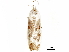  ( - BIOUG44857-D08)  @12 [ ] CreativeCommons - Attribution (2018) CBG Photography Group Centre for Biodiversity Genomics