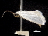  ( - BIOUG44857-D09)  @11 [ ] CreativeCommons - Attribution (2018) CBG Photography Group Centre for Biodiversity Genomics