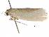  ( - BIOUG44857-E12)  @11 [ ] CreativeCommons - Attribution (2018) CBG Photography Group Centre for Biodiversity Genomics