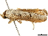  ( - BIOUG44857-F11)  @12 [ ] CreativeCommons - Attribution (2018) CBG Photography Group Centre for Biodiversity Genomics