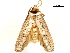  ( - BIOUG44857-G01)  @12 [ ] CreativeCommons - Attribution (2018) CBG Photography Group Centre for Biodiversity Genomics