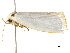  ( - BIOUG44857-H06)  @13 [ ] CreativeCommons - Attribution (2018) CBG Photography Group Centre for Biodiversity Genomics