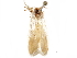  ( - BIOUG44857-H07)  @11 [ ] CreativeCommons - Attribution (2018) CBG Photography Group Centre for Biodiversity Genomics
