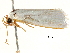  ( - BIOUG44857-H08)  @12 [ ] CreativeCommons - Attribution (2018) CBG Photography Group Centre for Biodiversity Genomics