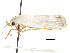  ( - BIOUG44858-A11)  @13 [ ] CreativeCommons - Attribution (2018) CBG Photography Group Centre for Biodiversity Genomics