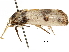  ( - BIOUG44858-A12)  @11 [ ] CreativeCommons - Attribution (2018) CBG Photography Group Centre for Biodiversity Genomics
