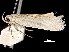  ( - BIOUG44858-B02)  @11 [ ] CreativeCommons - Attribution (2018) CBG Photography Group Centre for Biodiversity Genomics