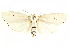  ( - IM11-0070)  @14 [ ] CreativeCommons - Attribution (2012) CBG Photography Group Centre for Biodiversity Genomics