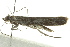  ( - IM12-0108)  @13 [ ] CreativeCommons - Attribution (2012) CBG Photography Group Centre for Biodiversity Genomics