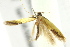  ( - IM12-0113)  @13 [ ] CreativeCommons - Attribution (2012) CBG Photography Group Centre for Biodiversity Genomics