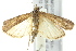  ( - IM12-0131)  @13 [ ] CreativeCommons - Attribution (2012) CBG Photography Group Centre for Biodiversity Genomics