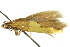  ( - IM12-0180)  @13 [ ] CreativeCommons - Attribution (2012) CBG Photography Group Centre for Biodiversity Genomics