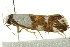  ( - IM12-0203)  @13 [ ] CreativeCommons - Attribution (2012) CBG Photography Group Centre for Biodiversity Genomics