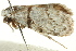  ( - IM12-0205)  @12 [ ] CreativeCommons - Attribution (2012) CBG Photography Group Centre for Biodiversity Genomics