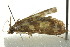  ( - IM12-0215)  @12 [ ] CreativeCommons - Attribution (2012) CBG Photography Group Centre for Biodiversity Genomics