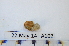  ( - IMSA102)  @11 [ ] Unspecified (default): All Rights Reserved  Unspecified Middle East Technical University, Institute of Marine Sciences, Mersin, TURKEY