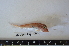  ( - IMSC66)  @11 [ ] Unspecified (default): All Rights Reserved  Unspecified Middle East Technical University, Institute of Marine Sciences, Mersin, TURKEY